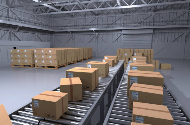 Conveyor Belt Systems